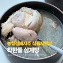 착한닭고기 | 복날 간편식 삼계탕 추천 고삼농협 착한들 삼계탕 국내산 닭 한마리 후기