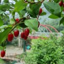 WG스포츠파크고성 이미지