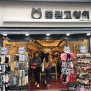못된고양이 이미지