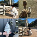 농업회사법인 현천승마(주) | 울산 울주군 언양읍 양떼목장 포니랜드 가족, 데이트 코스