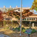 콩콩어린이공원 이미지