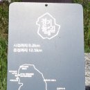 조강철책길 이미지