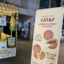 CAT&F 캣앤에프 | [서울/성수] 베이커리 카페 CAT&F(캣앤에프) 글루텐분해 유산균 빵(내돈내산)
