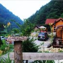 정선통나무펜션 이미지