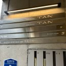 탄(TAN)헤어스튜디오 | 연남동 미용실 헤어스튜디오 TAN 후기 (염색/커트)