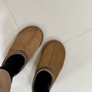 센텀안과 | UGG 센텀 신세계 어그 타스만 체스트넛 구매 후기, 사이즈 팁, 착샷 겨울신발 추천