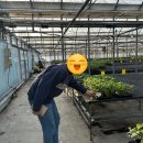 늘푸른 농약사 이미지