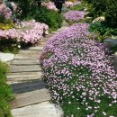 카사벨라 이미지