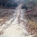 양달캠핑장 이미지