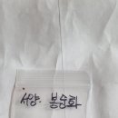 연똥이님의 서양봉숭아 씨앗이 이미지