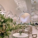 오필리아 | 본식스냅/ 오필리아픽처 계약후기 💛 소풍웨딩홀 베일리 밝은홀