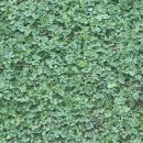 음메목장 이미지