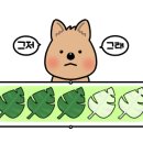 국수와김밥 이미지