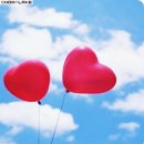 물들어간다는 것은 이미지