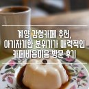 56 | 계양 감성카페 추천, 아기자기한 분위기가 매력적인 카페비읍미음 방문 후기