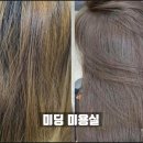커트와염색