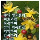 잠원로 이미지