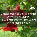 산돌교회 이미지