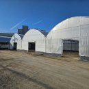 사계절 PC | 차광망 대신 차광직조필름 실제 후기 [동영상포함]