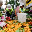 은행나무약국 이미지