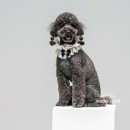 아이러브멍 이미지