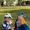 달이뜨면꽃이피고 이미지