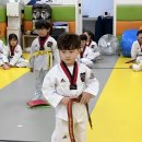 올바른i태권도 이미지