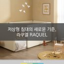 디자인모서리에이스침대;둔촌동 | [광교에이스침대] 저상형 침대의 새로운 기준, 라쿠엘 RAQUEL [에이스침대에이스스퀘어광교점]