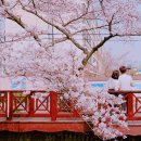 웅남로-1 이미지