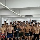 팀 매드 이미지