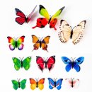 에이치데코 이미지