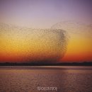 뉴동남목장 이미지