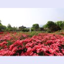 곡성-020 이미지