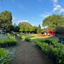 청명목장 | 가을 충남여행 당진 아그로랜드 태신목장 두돌 아기랑