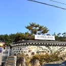 돌사진 고민 끝✨ 동해 낭그에 스튜디오 내돈내산 솔직후기