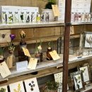 슬로우팜 이미지