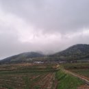 한실농박 이미지