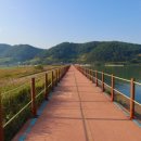 소라면 가사리 이미지