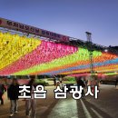지에스(GS)25 초읍포레나점 | 초읍 삼광사 부처님오신날 연등축제 주차 사라진 포토존