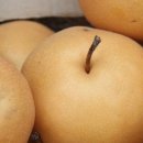 양양농원