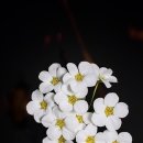 미로노래연습장 이미지