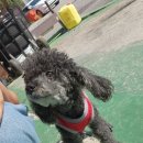 주몽카센타 이미지