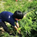 프리미어아레나승마클럽 이미지