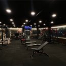 라인짐(LINE GYM) 이미지