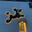 미유펫 강아지분양 고양이분양 전주점 이미지