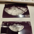 엘르메디여성의원 이미지