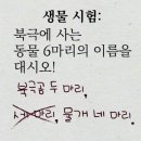 센스쟁이 이미지