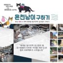 베토퀴놀코리아(주) 이미지