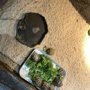 어푸어푸 수원 판타지움 34개월 아이와 파충류 체험 후기