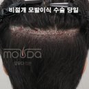 모우다의원 이미지